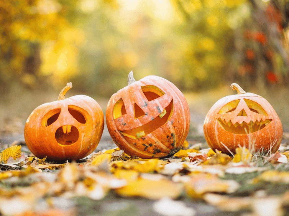 Halloween at Manor Farm Park & Woodlands